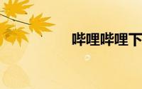 哔哩哔哩下载视频方法