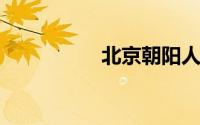 北京朝阳人才档案中心