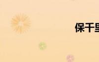 保千里官网