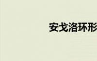 安戈洛环形山秘银外壳