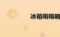 冰箱嗡嗡响是怎么解决