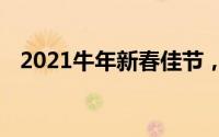2021牛年新春佳节，开启新篇章的开场白