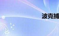 波克捕鱼技巧