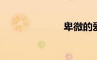 卑微的爱情句子