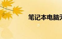 笔记本电脑无法连接网络