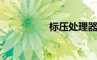 标压处理器是什么意思
