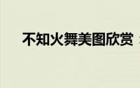 不知火舞美图欣赏：神秘魅力一览无余