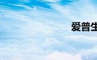 爱普生1300