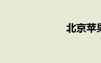 北京苹果直营店