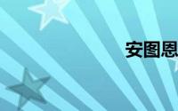 安图恩怎么打