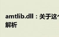 amtlib.dll：关于这个关键动态链接库的详细解析
