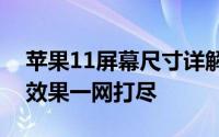 苹果11屏幕尺寸详解：尺寸、分辨率及显示效果一网打尽