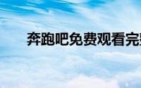 奔跑吧免费观看完整版2024最新一期