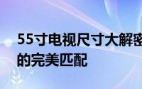 55寸电视尺寸大解密：揭秘电视尺寸与性能的完美匹配