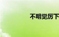 不明觉厉下一句怎么接