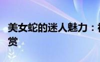 美女蛇的迷人魅力：神秘而诱人的蛇形图片欣赏