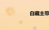 白藏主带什么御魂