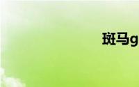 斑马gk888t