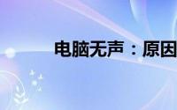 电脑无声：原因解析与解决方案