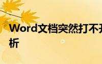 Word文档突然打不开怎么办？解决方案全解析