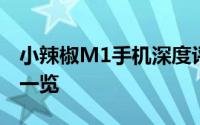 小辣椒M1手机深度评测：性能、功能与设计一览