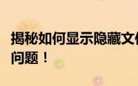 揭秘如何显示隐藏文件！超实用指南帮你解决问题！
