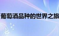 葡萄酒品种的世界之旅：从起源到鉴赏的艺术