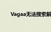 Vagaa无法搜索解决方案及相关指南