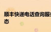 顺丰快递电话查询服务：轻松追踪您的包裹动态