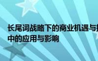 长尾词战略下的商业机遇与挑战：深度解析长尾理论在营销中的应用与影响