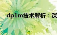 dp1m技术解析：深度探讨其应用与优势