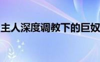 主人深度调教下的巨奴性奶牛少年的成长历程