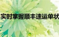 实时掌握顺丰速运单状态：详细快递查询指南