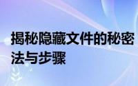 揭秘隐藏文件的秘密：轻松查看隐藏文件的方法与步骤