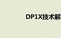 DP1X技术解析与应用探讨