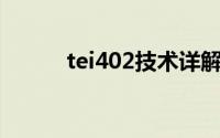 tei402技术详解与应用领域探讨