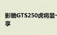影驰GTS250虎将显卡性能评测及使用体验分享