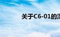 关于C6-01的深入解析与探索
