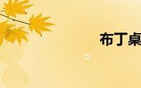 布丁桌面官网