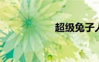 超级兔子人联机教程