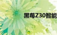 黑莓Z30智能手机全面评测