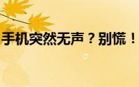 手机突然无声？别慌！教你如何快速恢复声音