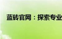 蓝砖官网：探索专业建筑材料的首选平台