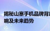 揭秘山寨手机品牌背后的故事：生存现状、影响及未来趋势