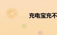 充电宝充不上电一直闪