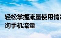 轻松掌握流量使用情况：详细教程教你如何查询手机流量