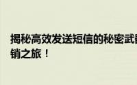 揭秘高效发送短信的秘密武器：全方位指南助你开启精准营销之旅！