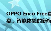 OPPO Enco Free真无线蓝牙耳机：音质盛宴，智能体验的新标杆