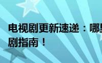 电视剧更新速递：哪里看最快更新，一站式追剧指南！