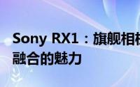 Sony RX1：旗舰相机的卓越表现与创新科技融合的魅力